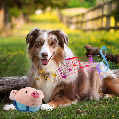 PetMotion Amigo™ – Juguete Interactivo para Mascotas